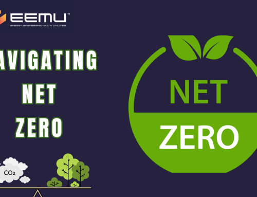 Navigating Net Zero: A Guide for SMEs to Achieve Sustainability