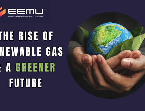 The Rise of Renewable Gas and a Greener Future