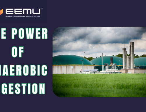 The Power of Anaerobic Digestion